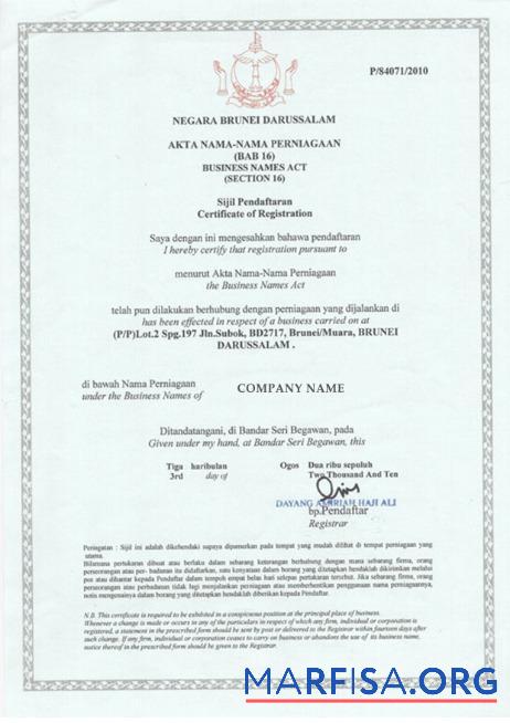 Realistic Brunei Business License example